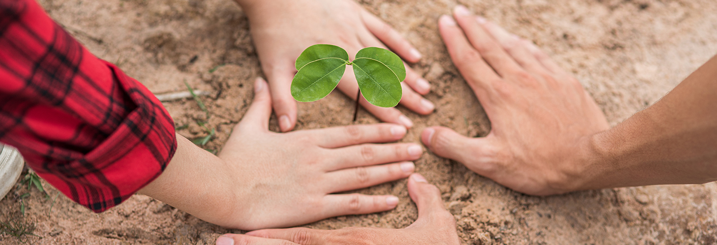 Jiashan Tocree Machinery Co., Ltd.